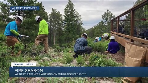 Boulder's Wildfire Partners & Teens, Inc doing fire mitigation work