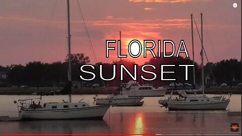 "Dreamy Sky SUNSET" Florida Living: Wish you was here! #shorts