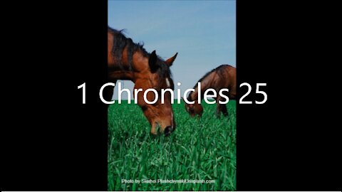 1 Chronicles 25 | KJV | Click Links In Video Details To Proceed to The Next Chapter/Book