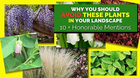 10 PLANTS I WOULD NEVER HAVE IN MY LANDSCAPE
