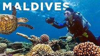 I Joined an Expedition to Save Coral Reefs | Maldives Diving