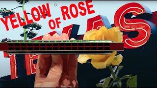 How to Play the Yellow Rose of Texas on a Tremolo Harmonica with 16 Holes