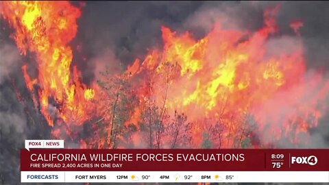 California brush fires