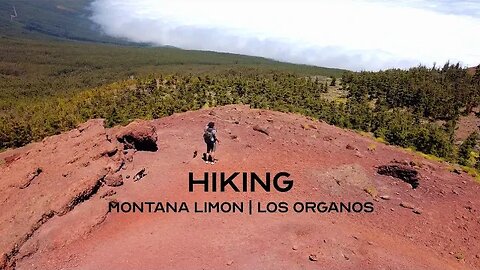 Hiking Montaña de Limón and Los Organos Trail in Tenerife