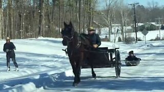 Gli Amish e lo slittino trainato dalla carrozza