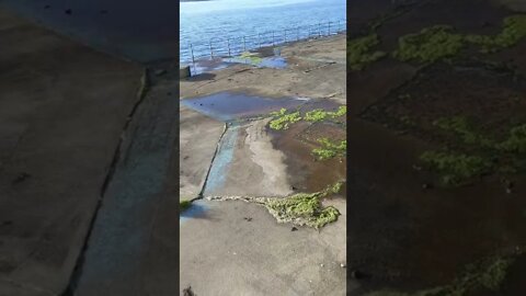 Old Paddling Pool - Filled with concrete