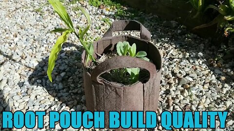 Quick Look at Root Pouch Build Quality - Response to a Customer's Question July 2017
