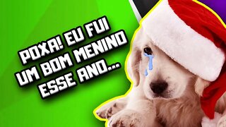 Vai ter Ração na Ceia de Natal do seu Cachorro? | Dr. Edgard Gomes | Alimentação natural para Cães