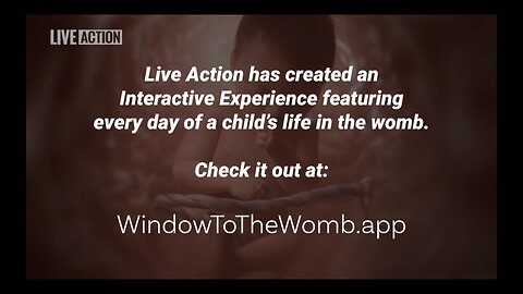 Amazing Timelapse of EVERY SINGLE DAY of a Child’s Development in the Womb | Window To The Womb