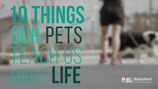 10 important things our pets teach us about life