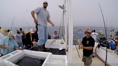 (16) 06/30/2015 - Yellowtail going banana's aboard the San Diego out of Seaforth Sportfishing.