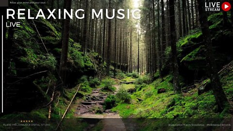 ★︎Relaxing and Meditation Music LIVE STREAM - PlanetRelaxMusic® - Reach Your Calm Today.