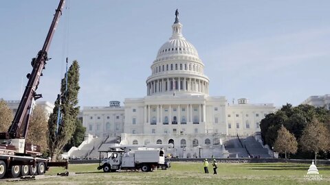 🔴👀🔴 2019 U.S. Capitol Christmas Tree Arrival