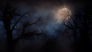Spooky Music – Creatures of the Night
