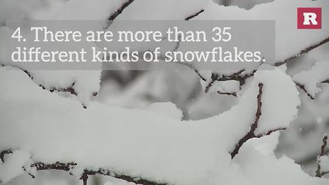 5 Facts About Snow | Rare Life