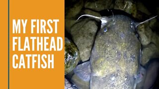 Flathead Catfish Fishing The Grand River Michigan // Night Fishing // Flathead Catfish Lure