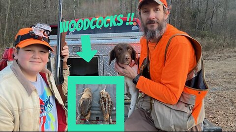 Woodcock Hunting with Bird Dogs!!