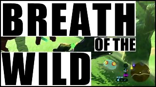 MAGNESISSTASISDUMMY | Breath of the Wild - YOU CHOOSE | Zelda BotW | Basement | S3E18