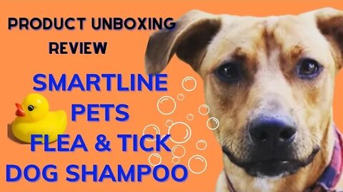 PRODUCT REVIEW: BATHING MY DOG WITH SMARTLINE FLEA & TICK PET SHAMPOO
