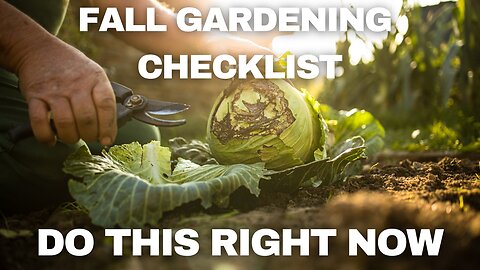 Fall Gardening Checklist - 9 Things You Should Do In Your Garden Now