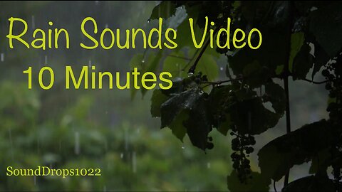 A Peaceful 10 Minutes Of Rain Sounds Video