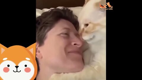 Cats😹 & Dogs🐶 Funny video for the mood when you feeling down #Petsandwild #catsfunnyvideos