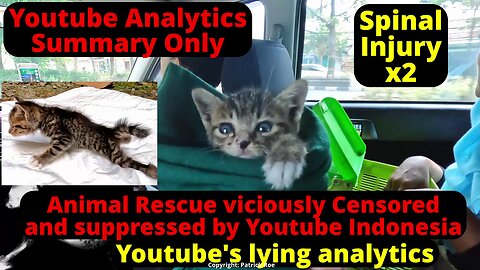 How youtube censors even KITTENS: ANALYTICS summary only - 1 month kitten with spinal injuries Freddy's story!