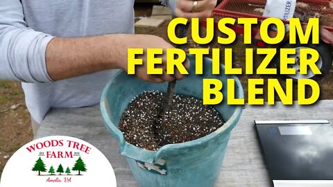 How I Made The BEST FERTILIZER For Christmas Trees