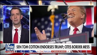 Sen Tom Cotton: Things Have Gone to Hell Under Biden