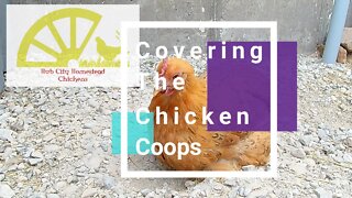 Covering the Chicken Runs - Is this going to work?