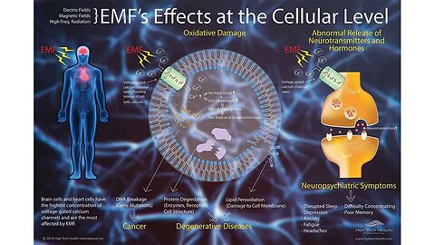 Stop emf and Wi-Fi