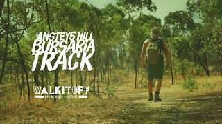 Hiking the Bursaria Trail at Ansteys Hill