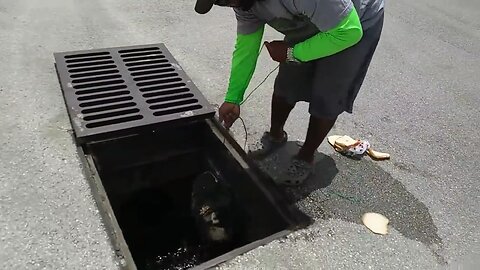Catching FISH in SEWER!! With Fish Trap!