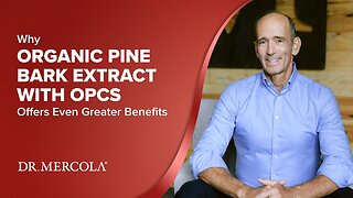 Why ORGANIC PINE BARK EXTRACT with OPCs Offers Even Greater Benefits