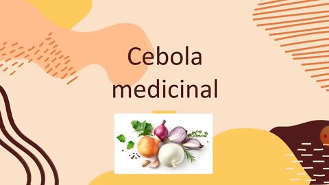 🥗Cebola para o uso medicinal👨‍⚕️