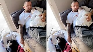 Sleep-deprived dad rocks cat in crib while holding the baby