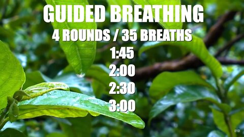 Breathing Technique: 4 rounds / 35 breaths [NEW VOICE] - Om Mantra