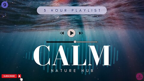 3 Hours of Rain &Thunder Healing Ambient White Noise for Deep Sleeping, Meditation, & Relaxation #9