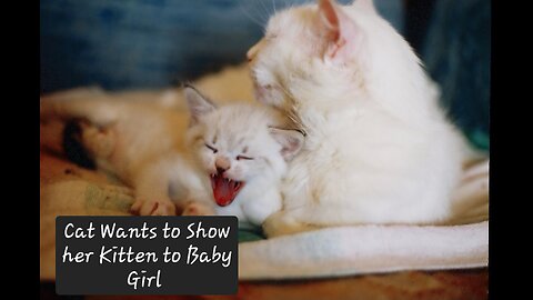 "Furry Friendship Alert! Mother Cat Brings Adorable Kitten to Play with Baby Girl"