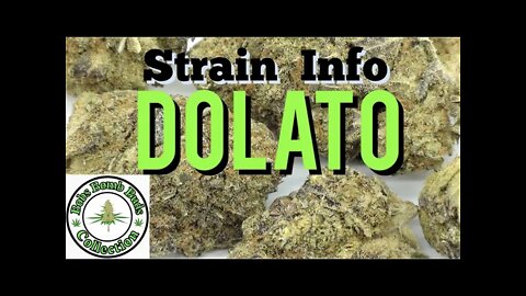 Dolato Cannabis Review