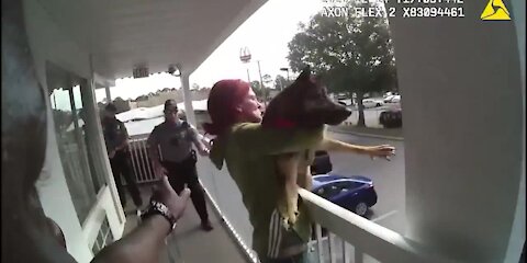 Florida woman caught on camera throwing dog off balcony before arrest