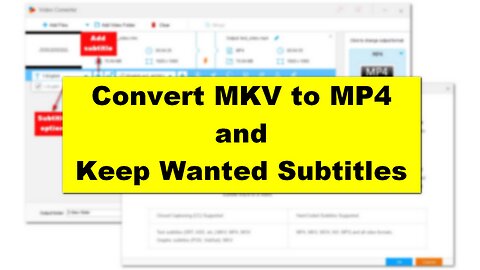 How to Convert MKV to MP4 and Keep Wanted Subtitles?