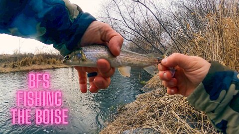 BFS Fishing the Boise River - Felt like it was the fish of 1000 casts