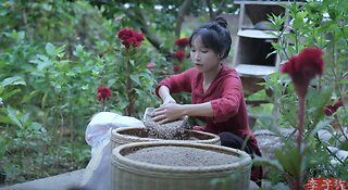 The life of purple rice, pumpkins, and … peanuts