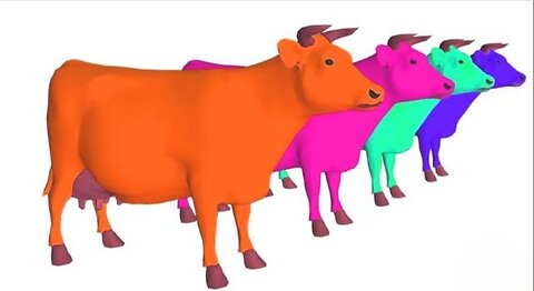 Learn Colors With Animals Dog Elephant Cat #cow eat vegetables with cat