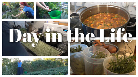 Modern Homesteader Day in the Life - Winter Minestrone, Gardening, and more