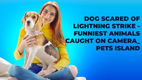 Dog Scared Of Lightning Strike - Funniest Animals Caught On Camera_ Pets Island