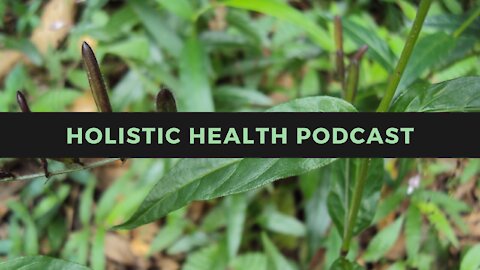 Holistic Health Podcast #4: Pfizer and BlackRock? ADE May *Require* Boosters?