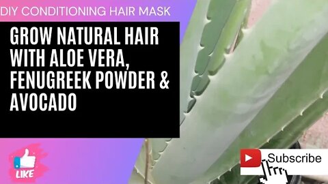 NATURAL HAIR TUTORIAL: DEEP CONDITIONER FOR HEALTHY HAIR- Aloe Vera, Fenugreek Powder & Avocado