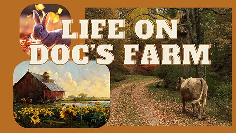 Life on Doc's Farm : Mavis Institute 🎵 🐓🦆🐝🐇🐖: Farmcore